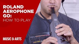 Roland Aerophone Go How To Play [upl. by Yrgoerg]