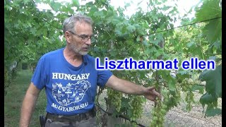 LISZTHARMAT ELLEN  csak BIO szerekkel [upl. by Adnoma976]