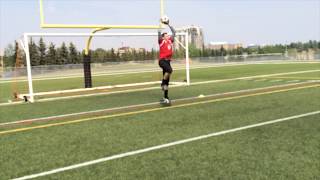 Soccer Goalkeeper Training  CrossingHigh Ball Drills 1 [upl. by Naihtniroc]