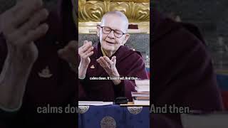 Pema chodron  handshake practice [upl. by Charlene]