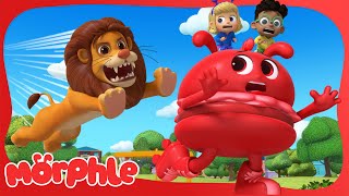 Morphle the Giant Hamburger 🍔  BRAND NEW  Cartoons for Kids  Mila and Morphle [upl. by Noissap]