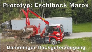 Prototyp Eschlböck MAROX  Hackguterzeugung Bamminger  Agrarprofi [upl. by Ikim]