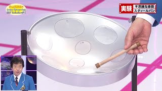 不思議な楽器 スティールパン／A Strange Instrument The Steelpan [upl. by Ominorej371]