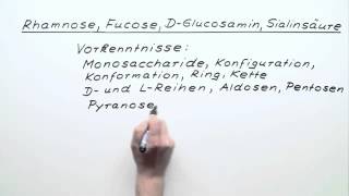 Rhamnose Fucose DGlucosamin Sialinsäure  Chemie  Organische Chemie [upl. by Kcirdec72]