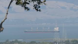 Spinnaker Sailing Class Et Al  July 11 2024  San Francisco Bay [upl. by Hescock]