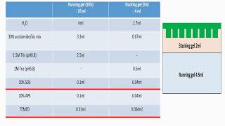 Prepare 4 stacking and 10 Running or Separating Gels in SDSPAGE Protocol [upl. by Leese790]