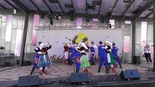 Polonez performing Rzeszow dances [upl. by Ginsburg]