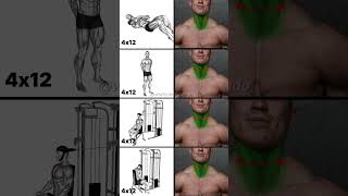 Build a Powerful Neck Top Neck Exercises for a Wide Thick Neck [upl. by Timmy]