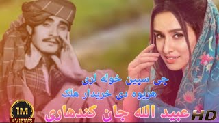 ubaidullah jan kandahari Songs  چی سپین خوله لری هلک هریوه دی خریدار هلAHMED musapar [upl. by Hamish]