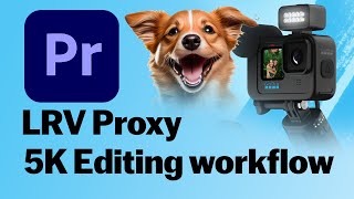 Unleash The Power Of Gopro 5k How To Use Lrv Files For Seamless Editing [upl. by Nired140]