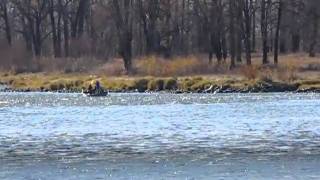 Bow River October Float [upl. by Ysac]