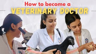 How to become a Veterinary Doctor in India 💯  Complete Process vet neet newveterinary newvideo [upl. by Hildebrandt]