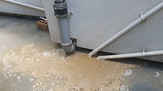 Drain Unblocking 252  Poo Whirlpool [upl. by Goeselt]