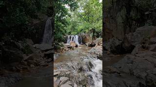 Mandaghat Waterfall Kawardha shorts youtubeshorts shortsvideo [upl. by Winwaloe]