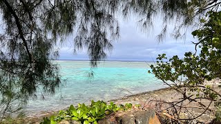 LIVE from Rarotonga Cook Islands [upl. by Seitz]