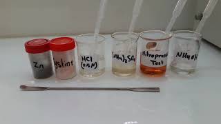 Interactions of sulfur amino acidsLead Sulphide TestNitroprussideTestConvert Cystine to Cysteine [upl. by Enelahs575]