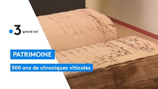 Le Weinschlagbuch de Mittelbergheim une chronique viticole de plus de 500 ans [upl. by Vincelette]