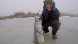 Ice Fishing for HUGE Sturgeon  Catch n Cook Sturgeon Over an Open Fire [upl. by Esineg871]