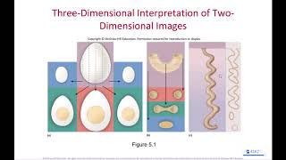 Intro to Histology and Epithelial Tissues Part 1 of 1 [upl. by Hcardahs]