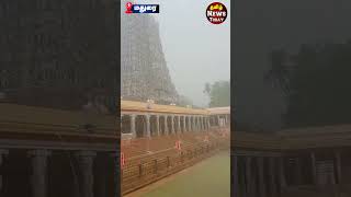 Madurai Rain  மதுரை மீனாட்சி அம்மன் கோவிலில் மழை பெய்யும் அழகான காட்சி  Madurai Meenakshi Amman [upl. by Ellehcer]