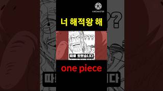 루피의 진정한 스승 one piece [upl. by Canfield613]