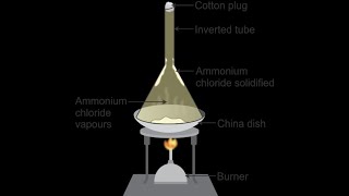 HOW CAN WE SEPARATE A MIXTURE OF SALT AND AMMONIUM CHLORIDE NCERT Class 9 [upl. by Neehcas86]