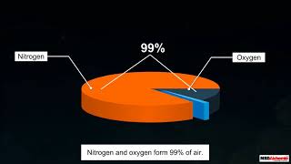 Composition of Air [upl. by Nylesoy]