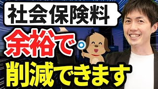 【知らない人多すぎ、、】社会保険料を削減する12の方法について税理士が解説します [upl. by Shakespeare]