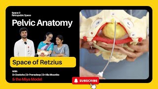 Pelvic Anatomy  Episode 03  Retropubic Space  Space of Retzius  Prevesical Space [upl. by Sorel704]