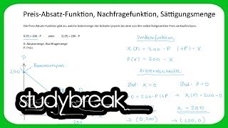 PreisAbsatzFunktion Nachfragefunktion Sättigungsmenge  Volkswirtschaftslehre [upl. by Aicatsana841]