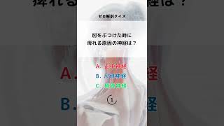 心拍数を増加させるのに働く神経はどれ？ 解剖学 筋トレ [upl. by Dorise]