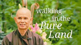 Walking in the Pure Land  Teaching by Thich Nhat Hanh  mindfulness [upl. by Alodi]