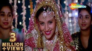 Jinke Aage Ji Jinke Pichhe Ji  salman Khan  Chandni  Sanam Bewafa 1991  Lata Mangeshkar Songs [upl. by Dalia]