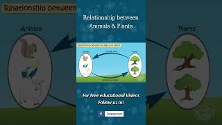 Seed Dispersal  Relationship between Animals amp Plants  Pollination Fertilisation Science shorts [upl. by Ramas]