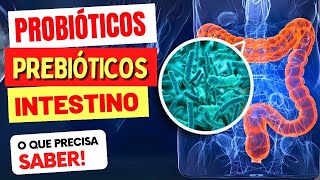 PROBIÓTICOS PREBIÓTICOS e INTESTINO  O que você PRECISA SABER [upl. by Aneev]