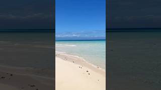 Zanzibar beach  Travel guide youtubeshorts africantravel [upl. by Ltihcox687]