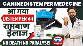 Canine Distemper Treatment In Dogs  Symptoms  Recovery Dog Distemper Treatment At Home [upl. by Aitnis316]