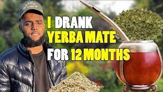 I DRANK YERBA MATE FOR 1 YEAR STRAIGHT  YERBA MATE 1 YEAR REVIEW [upl. by Phina]