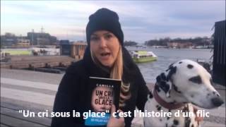 Camilla Grebe nous présente son roman Un cri sous glace [upl. by Yerffoj]