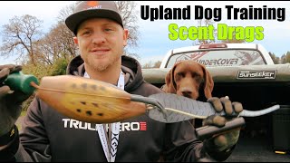 Upland Bird Dog Training  Scent Drags [upl. by Imuyam954]