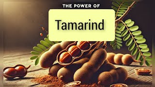 Tamarind The Tangy Superfood for Health and Flavor  Ep 39 superfoods101 tamarind yummyeating [upl. by Carhart752]