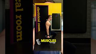 Quick Tips for Dumbbell Lunges 🦵🦵dumbbell lunges quads hamstrings glutes legs [upl. by Nare279]