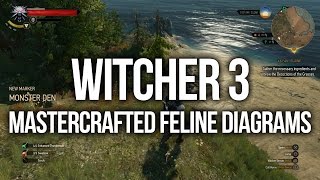 Witcher 3  ALL Mastercrafted Feline Diagram Locations Upgrade Armour and Weapons [upl. by Yesrod]