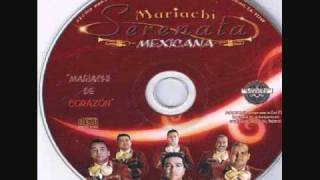 Mariachi Serenata Mexicana  Amor A Mares [upl. by Boycie]