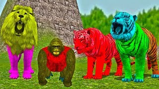 Wild Animals Finger Family Rhymes  GORILLA TIGER LION  Wild Felines Finger Family songs [upl. by Olumor]