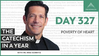 Day 327 Poverty of Heart — The Catechism in a Year with Fr Mike Schmitz [upl. by Ayomat192]