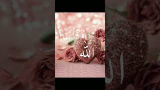 SURAH FUSSILAT 41  AYAH 363 urdu viralvideo motivation shorts viralvideo quran ytshorts yt [upl. by Ttihw]