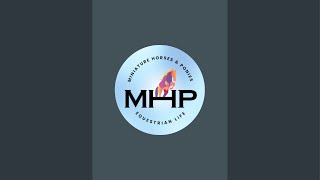 MHP Equestrian Videos is live [upl. by Lihas]