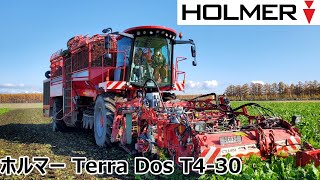 【自走式ビートハーベスター】HOLMER Terra Dos T430 Shorts [upl. by Romonda]