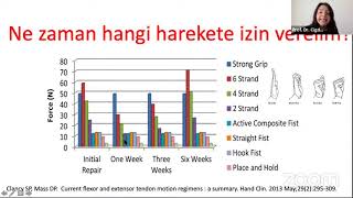 Tendon Rehabilitasyonu [upl. by Einhpad]